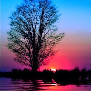 Meet your Posher, Walter